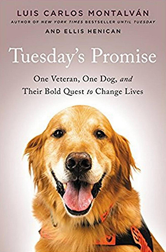 14-TUESDAYS-PROMISE